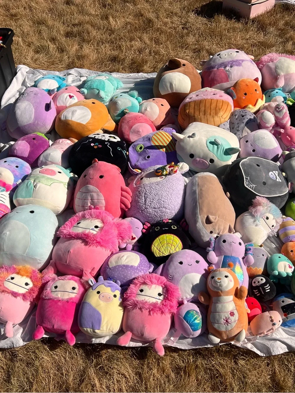 Plush Squishy Soft Pink and Pastel Assorted Small Pets Plush Toy